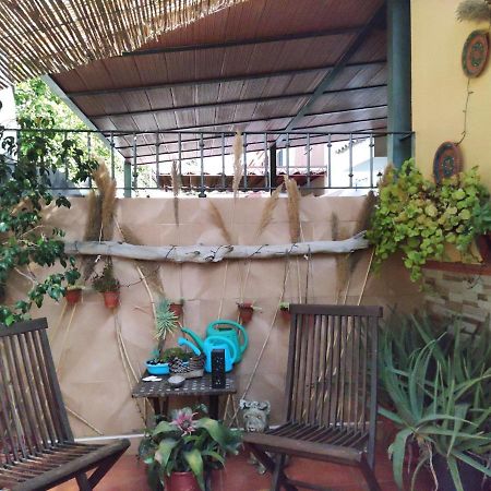 Cool Garden And Suite Mairena del Aljarafe Bagian luar foto