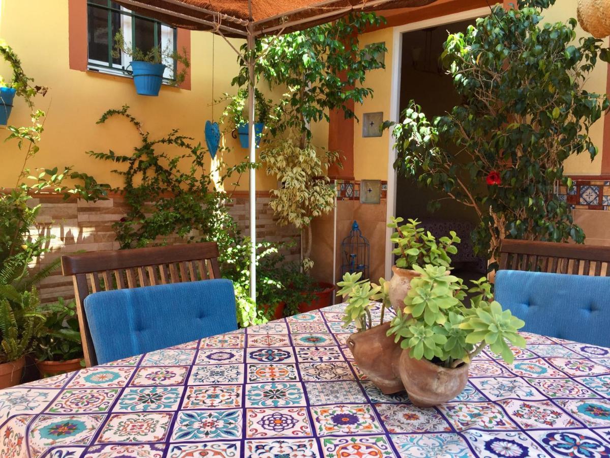 Cool Garden And Suite Mairena del Aljarafe Bagian luar foto