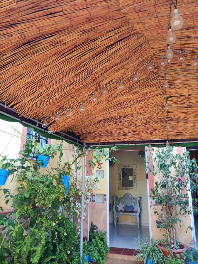 Cool Garden And Suite Mairena del Aljarafe Bagian luar foto