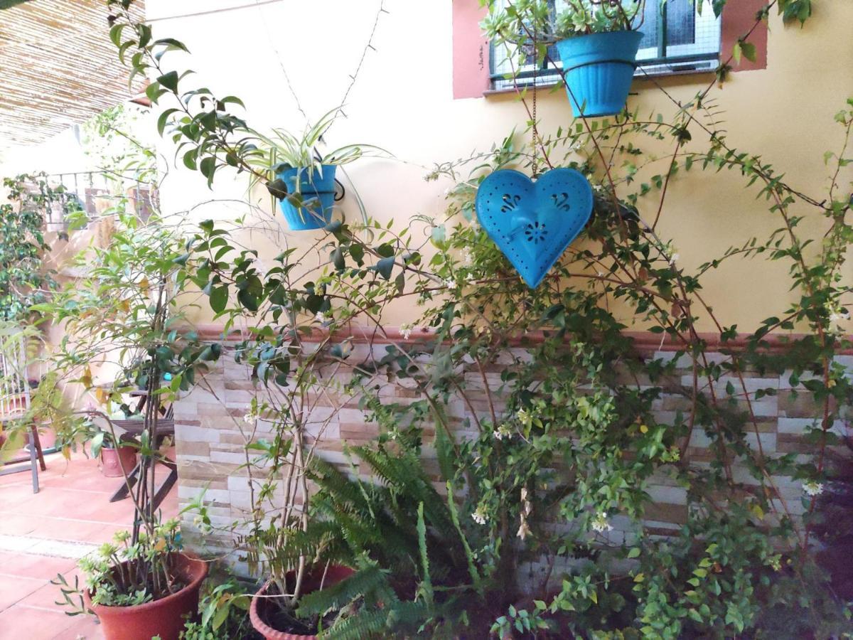 Cool Garden And Suite Mairena del Aljarafe Bagian luar foto
