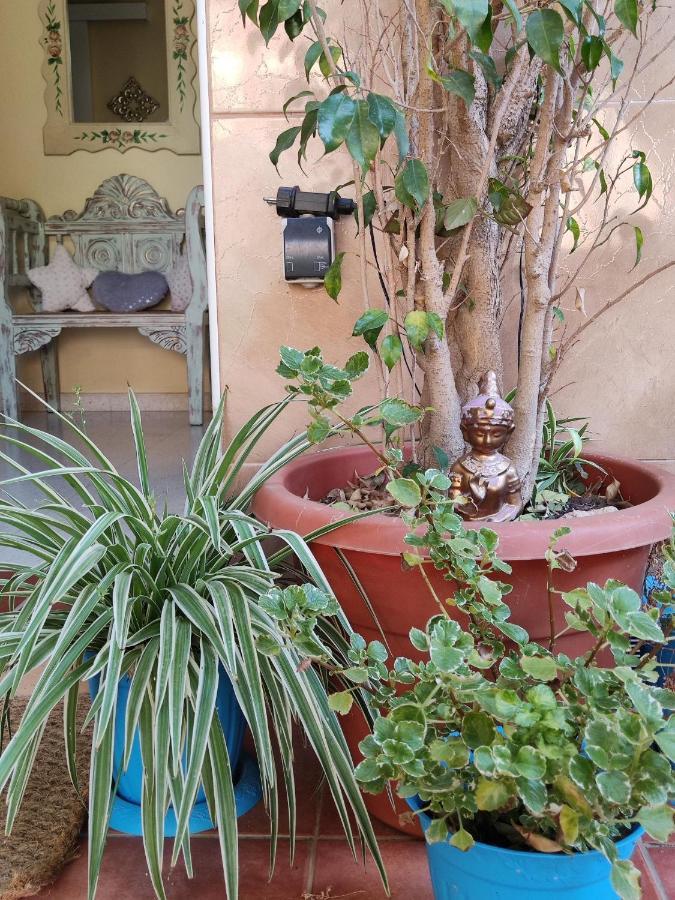 Cool Garden And Suite Mairena del Aljarafe Bagian luar foto