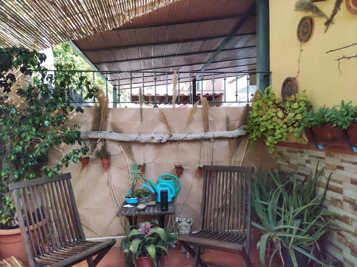 Cool Garden And Suite Mairena del Aljarafe Bagian luar foto