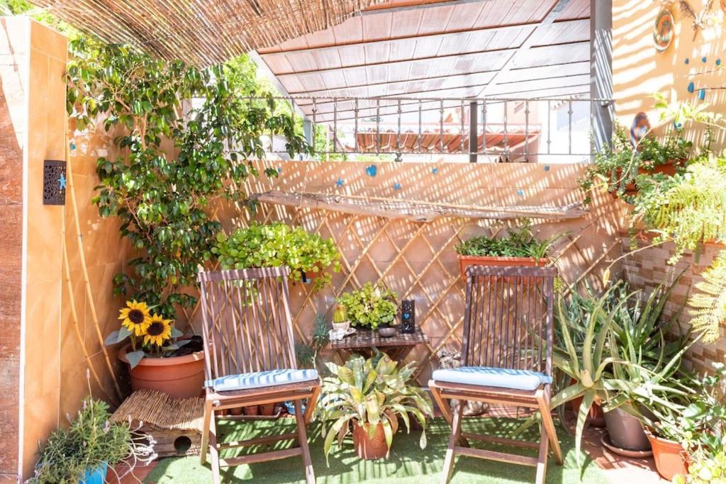 Cool Garden And Suite Mairena del Aljarafe Bagian luar foto