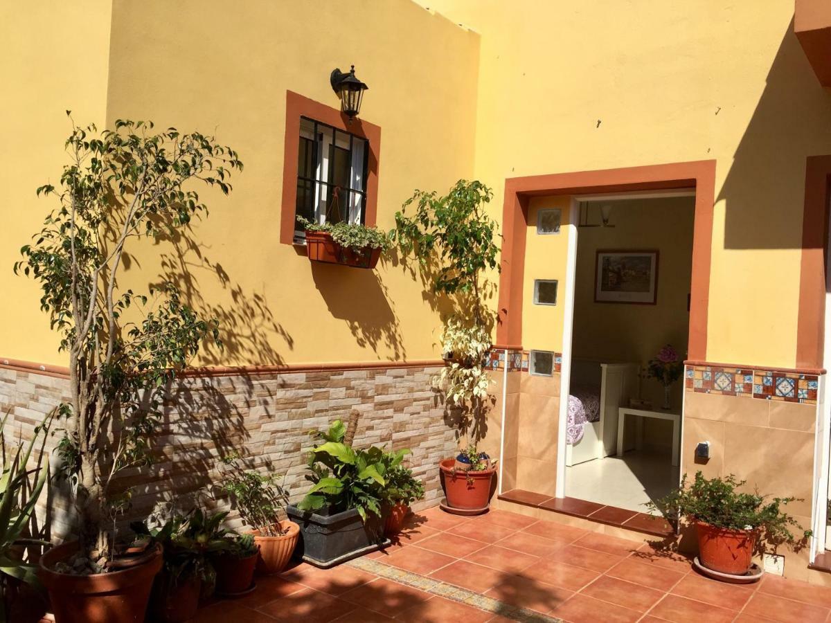 Cool Garden And Suite Mairena del Aljarafe Bagian luar foto