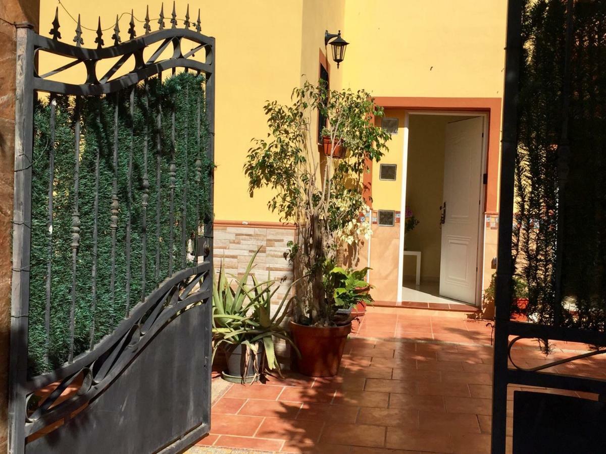 Cool Garden And Suite Mairena del Aljarafe Bagian luar foto